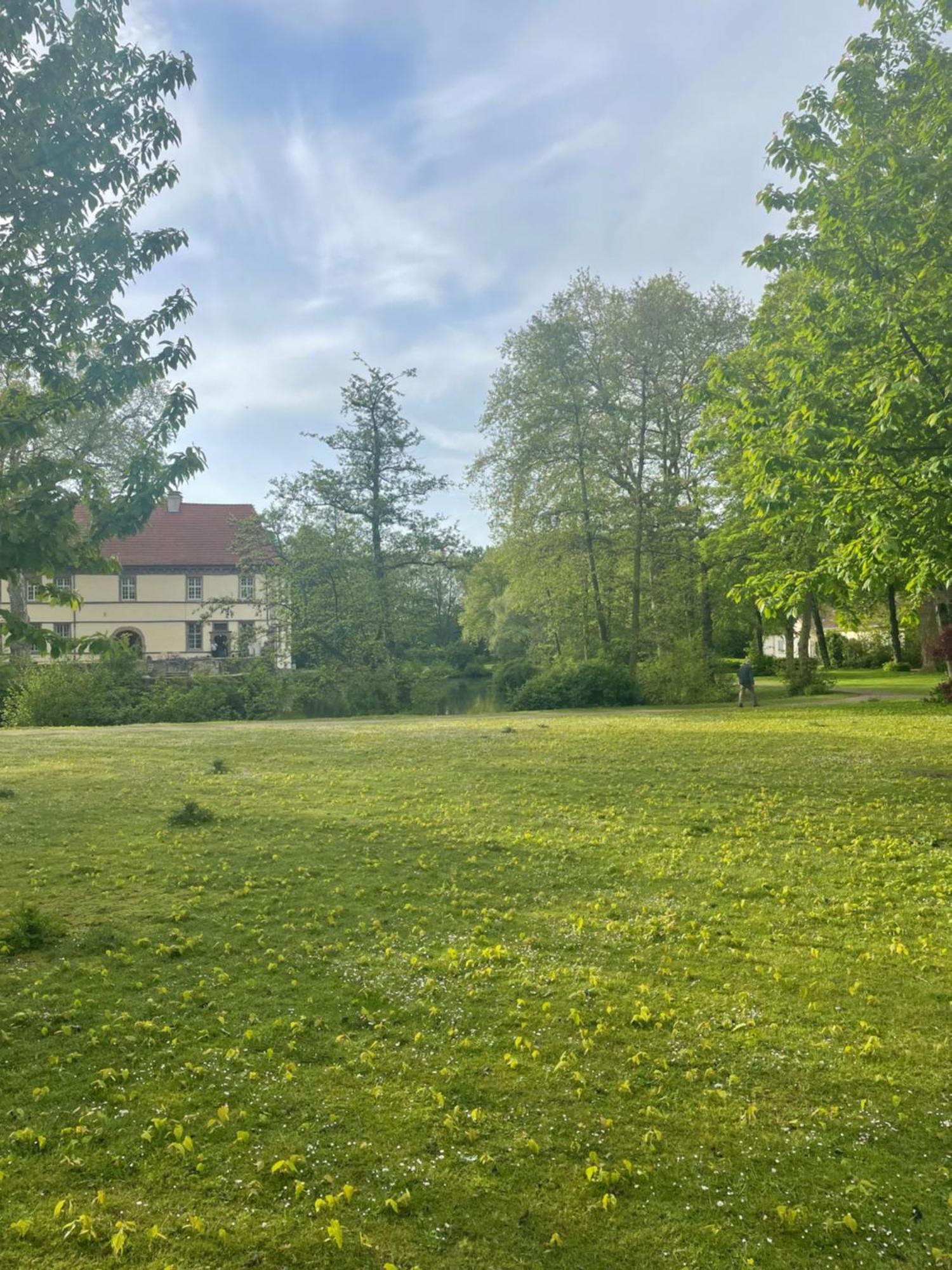 Single - Herne, Schloss Struenkede Herne